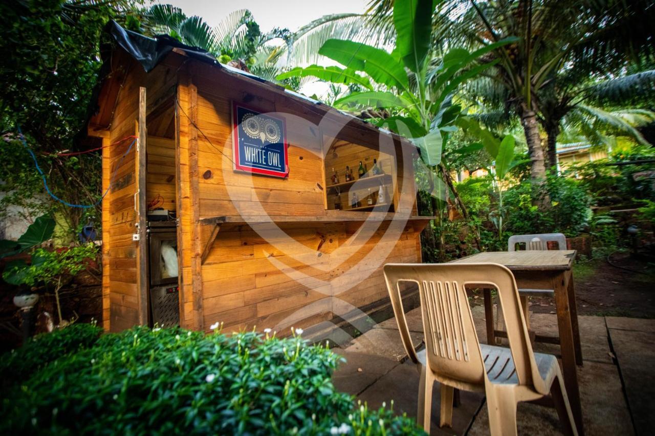 Zulu Land Cottages - Near Curlies Beach Shack And Shiva Valley - Anjuna Beach Ngoại thất bức ảnh